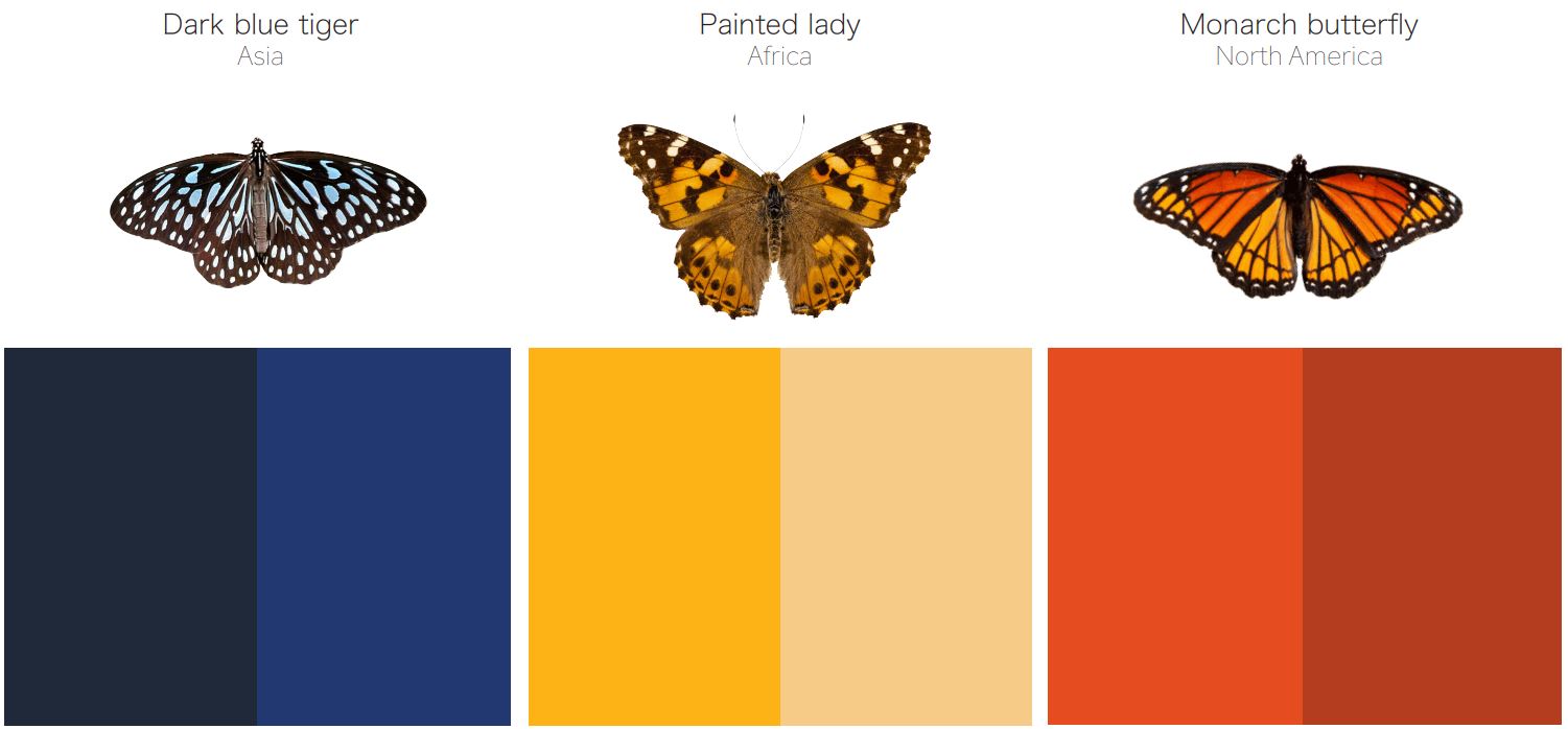 The SolarButterfly's News Communication Strategy - SOLAR BUTTERFLY